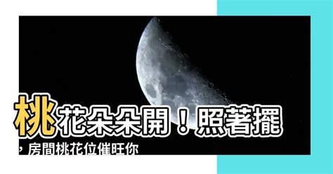 房間放什麼招桃花|2024房間擺設桃花招運指南：風水專家教你招好桃花－天然水晶。